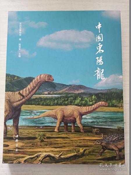 中国东阳龙【精装】
