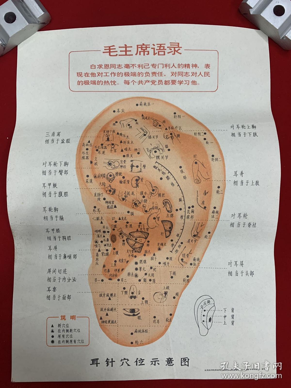 耳针穴位示意图