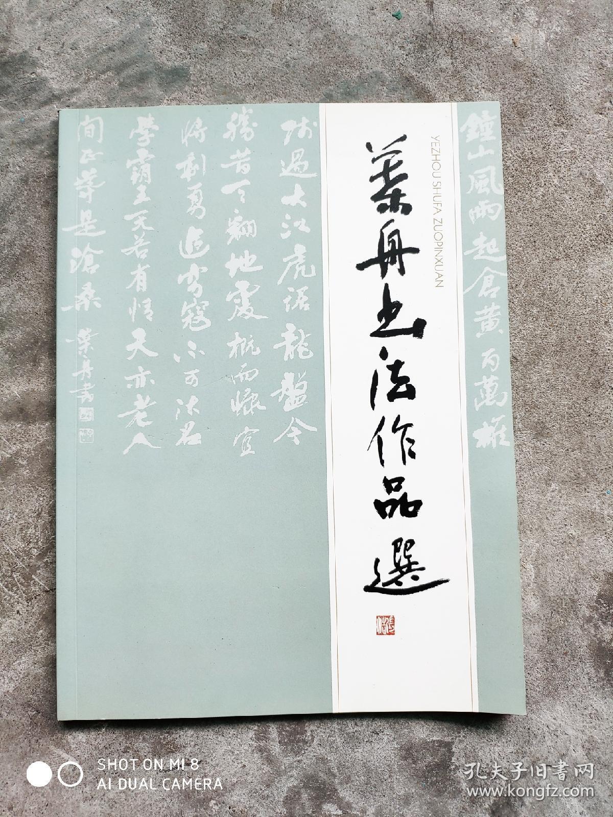 叶舟书法作品选