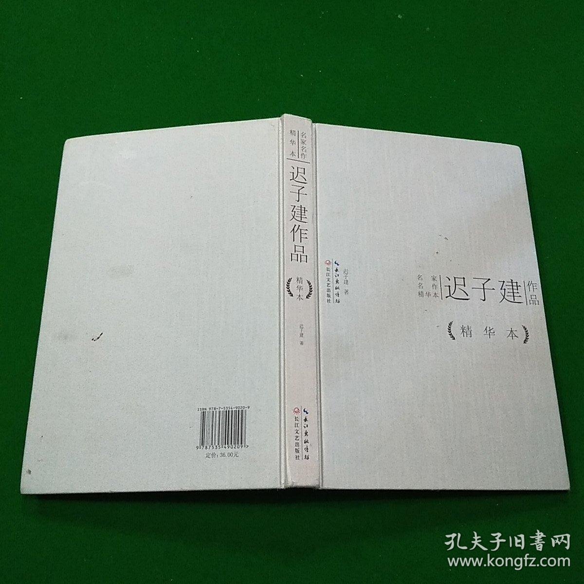 迟子建作品(精华本)