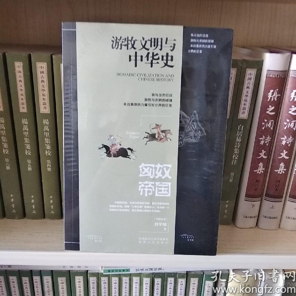 游牧民族与中华史:匈奴帝国