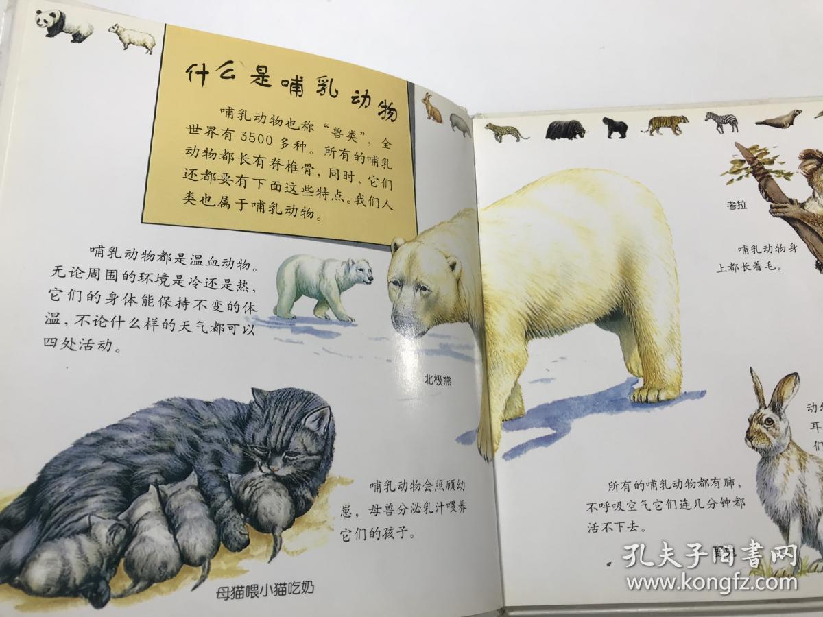 动物小百科:哺乳动物(精装)
