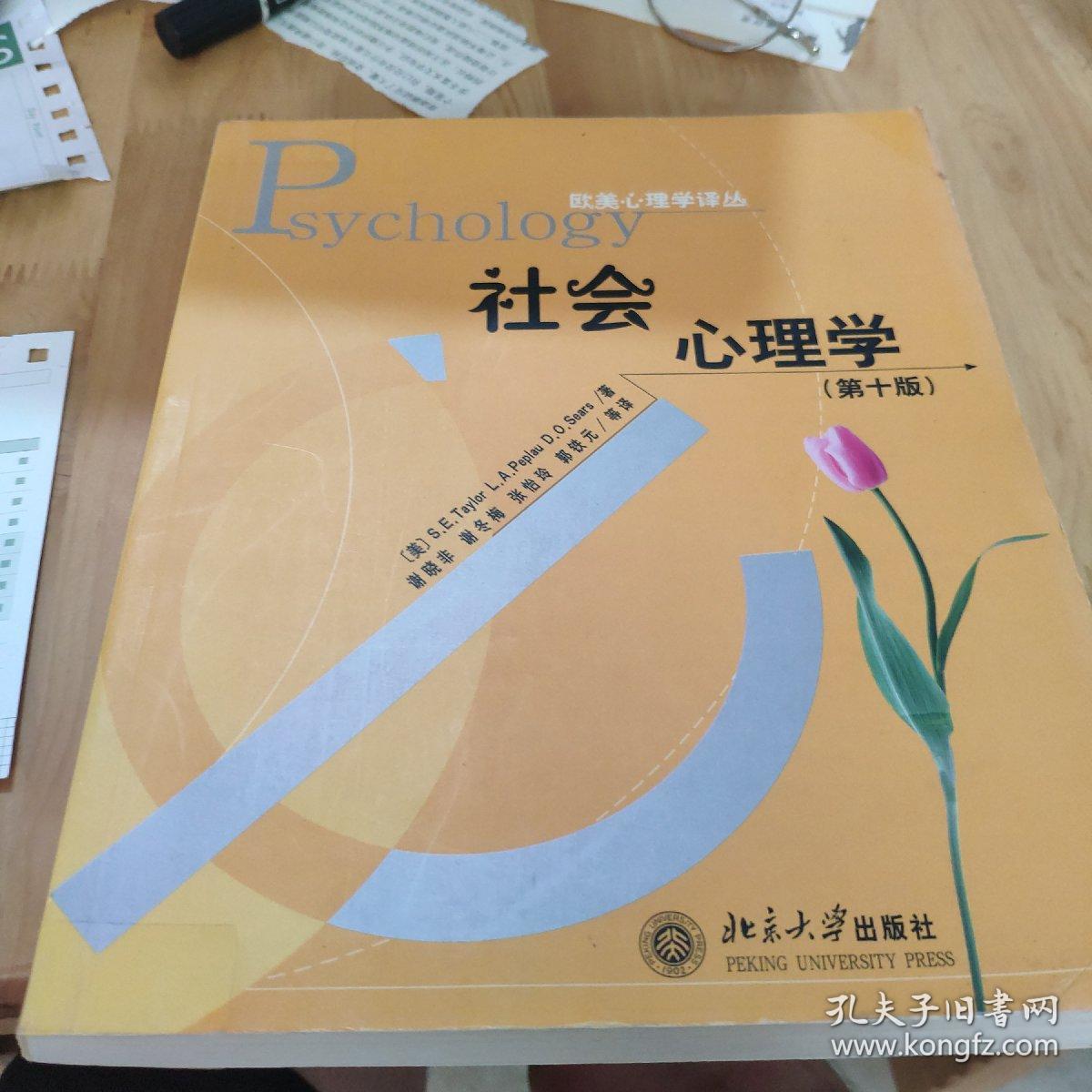 社会心理学:第十版