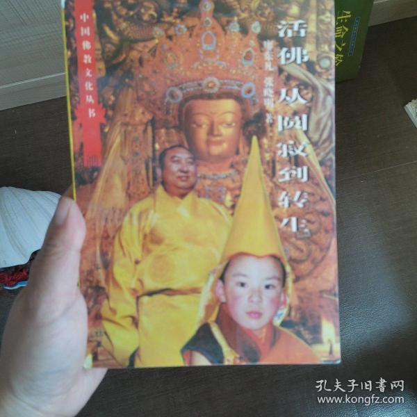 活佛从圆寂到转生十一世班禅活佛认定册立坐床纪实