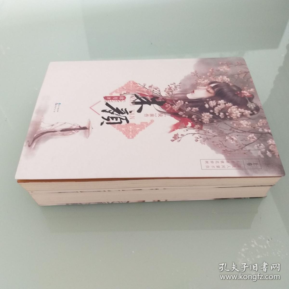 朱颜2册全 (带大幅海报软精装)