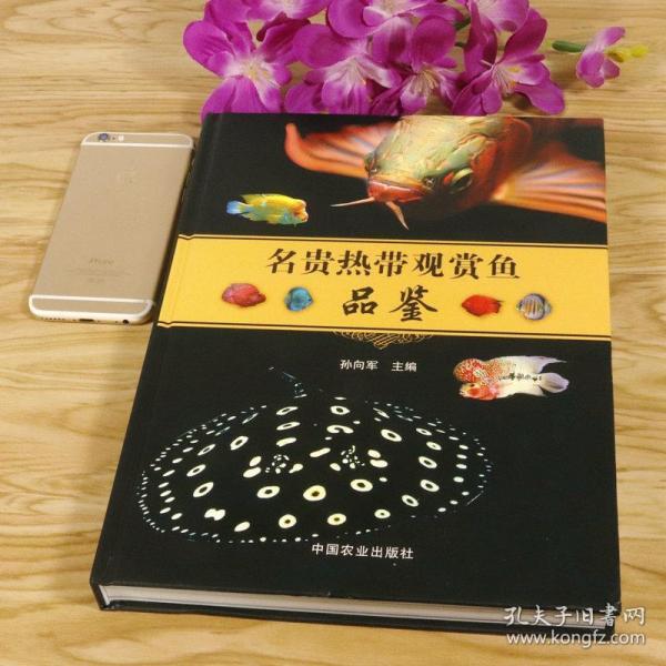 正版名贵热带观赏鱼品鉴精装 世界热带鱼海水鱼等中国名优精品金鱼锦鲤的养护与鉴赏饲养方法养殖技术图鉴书籍 小林道信著 孔夫子旧书网 正版名贵热带观赏鱼品鉴精装 世界热带鱼海水鱼等中国名优精品金鱼锦鲤的养护与鉴赏饲养方法养殖技术图鉴书籍 小林道信著 孔夫子旧书网