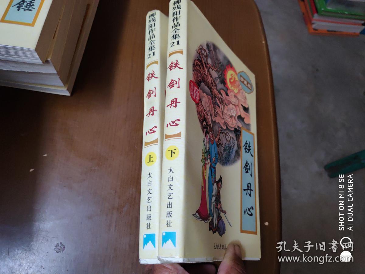 柳残阳作品全集.21铁剑丹心【上下册】