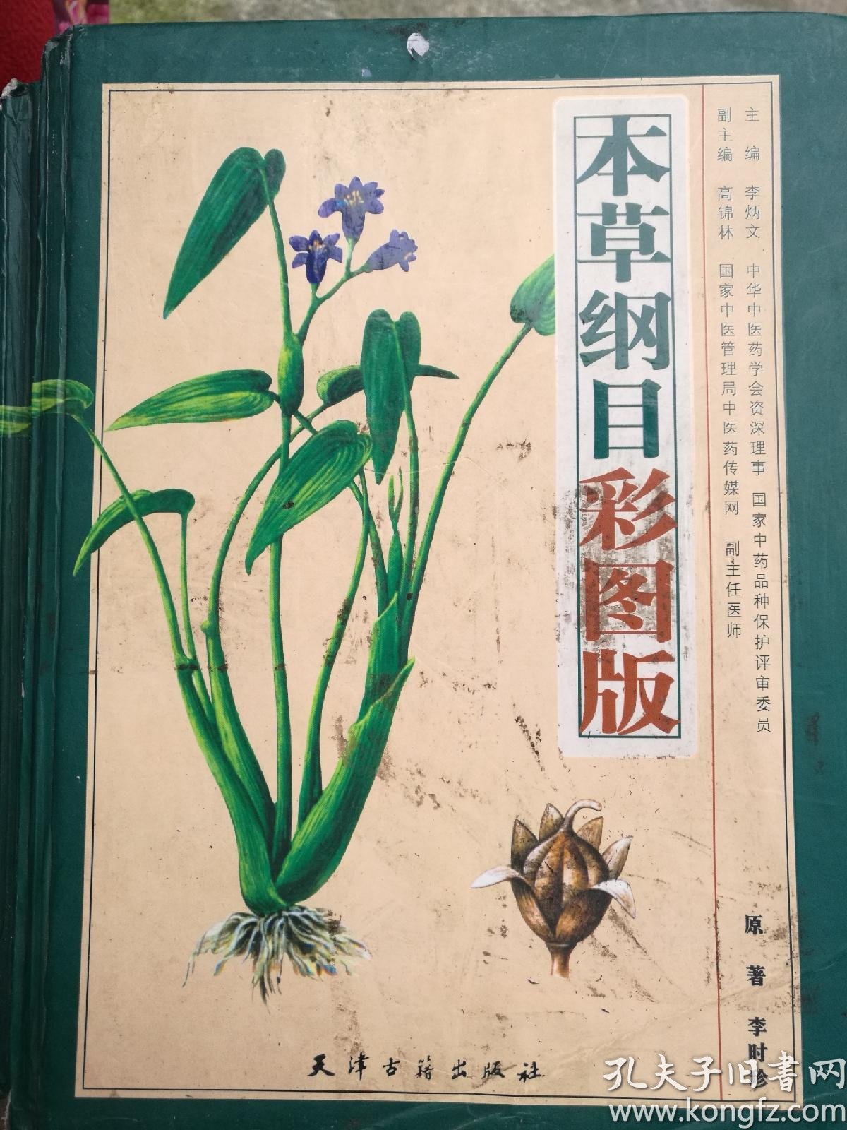 本草纲目彩图版上下