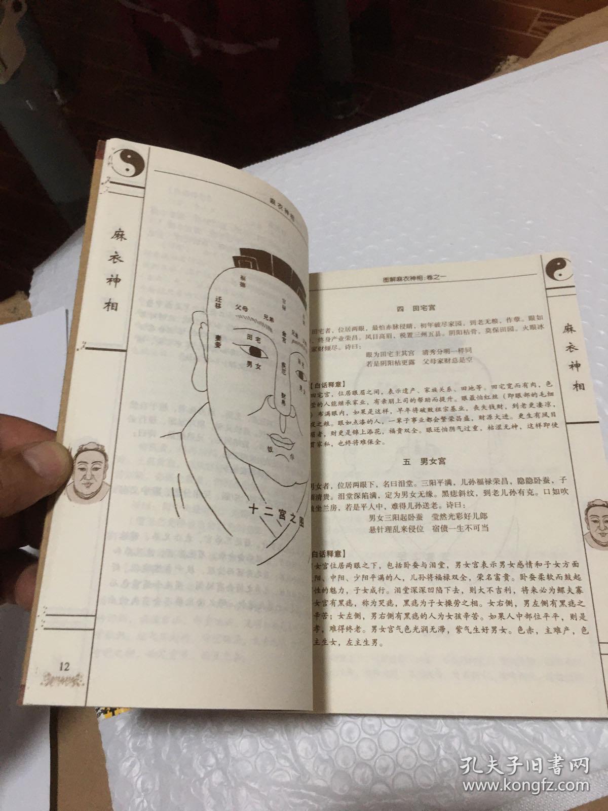 麻衣神相:相学秘籍全书