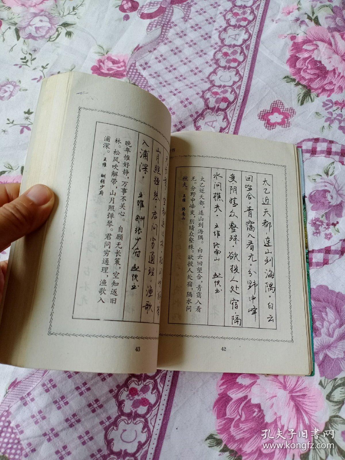 旧书字帖《唐诗罗兰小语钢笔书法(楷书,行书,草书多体书法)赵忱