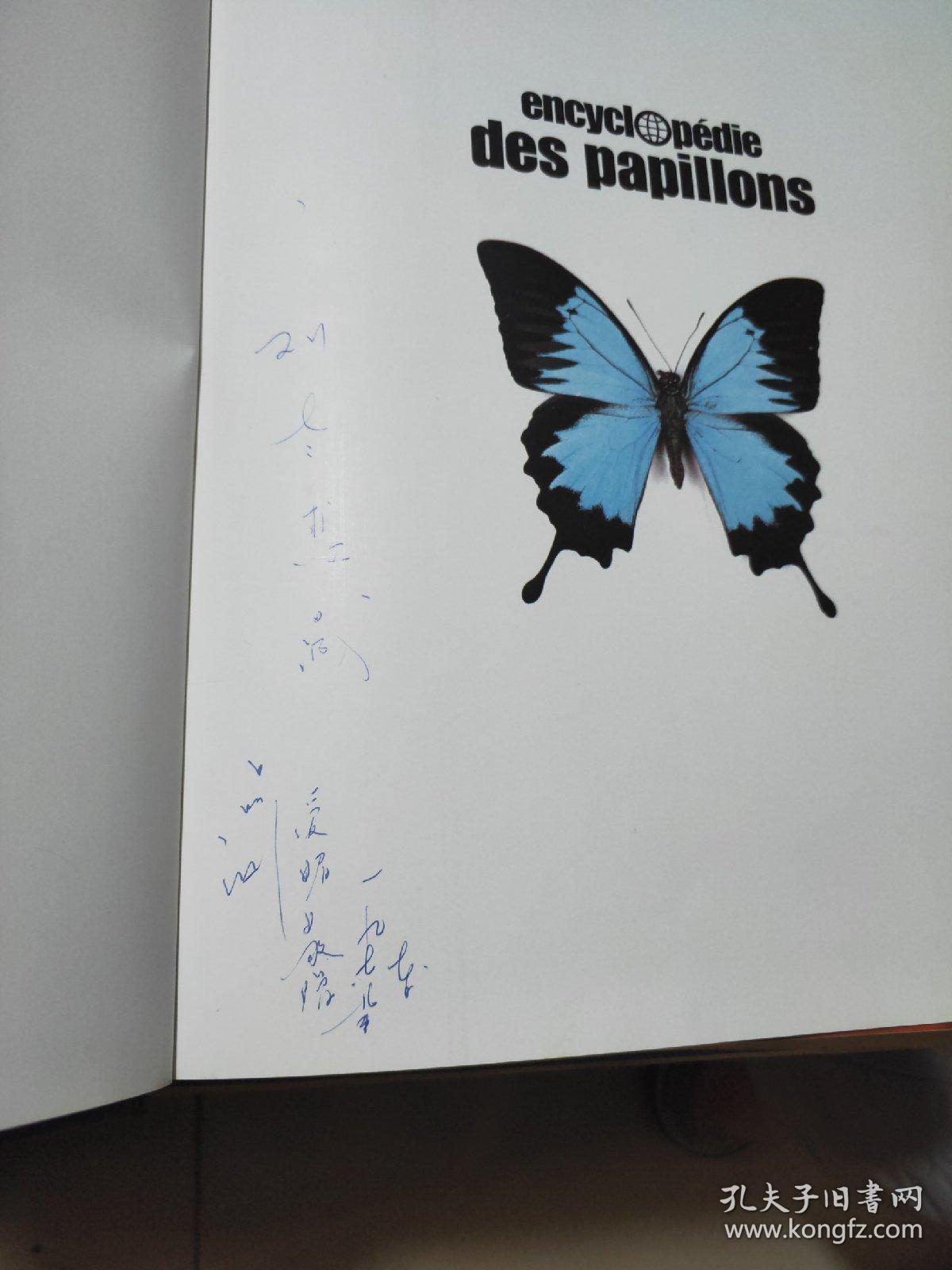 encyclopédie des papillon 蝴蝶百科全书