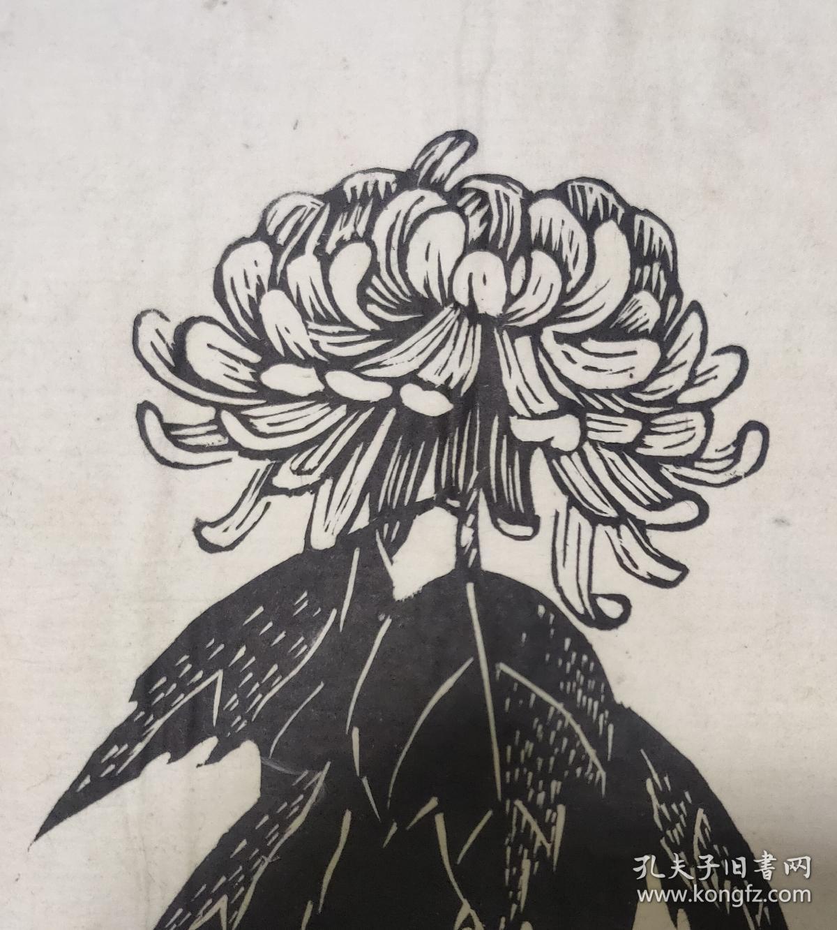 五十年代木刻版画原作:菊花(21.5厘米×15.2厘米)