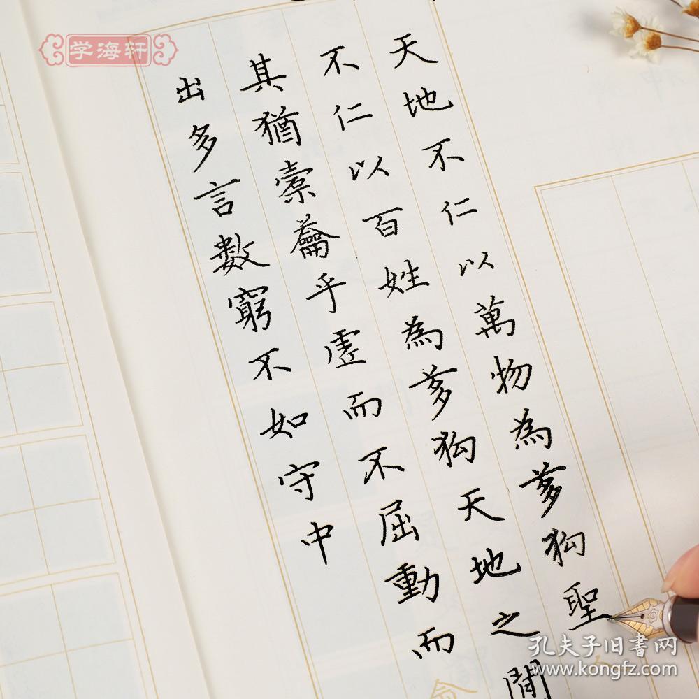 钢笔楷书字帖 卢中南书适用书法等级考试7-9级 赵孟俯硬笔书法临摹
