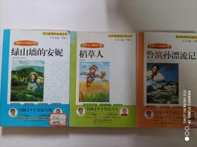 名师1+1导读方案（3本合售):绿山墙的安妮/稻草人/鲁滨孙漂流记