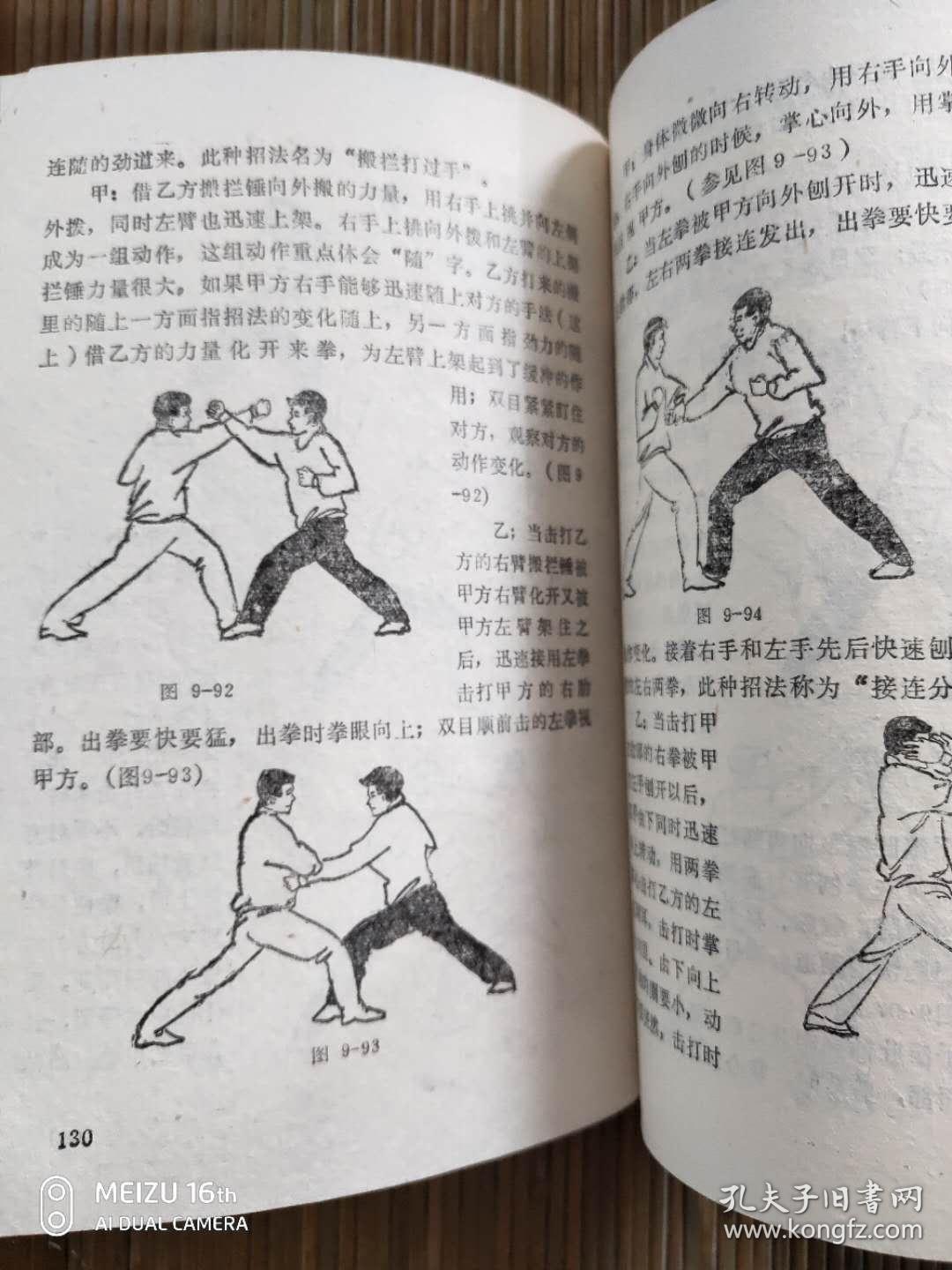 五势梅花桩实用技击术