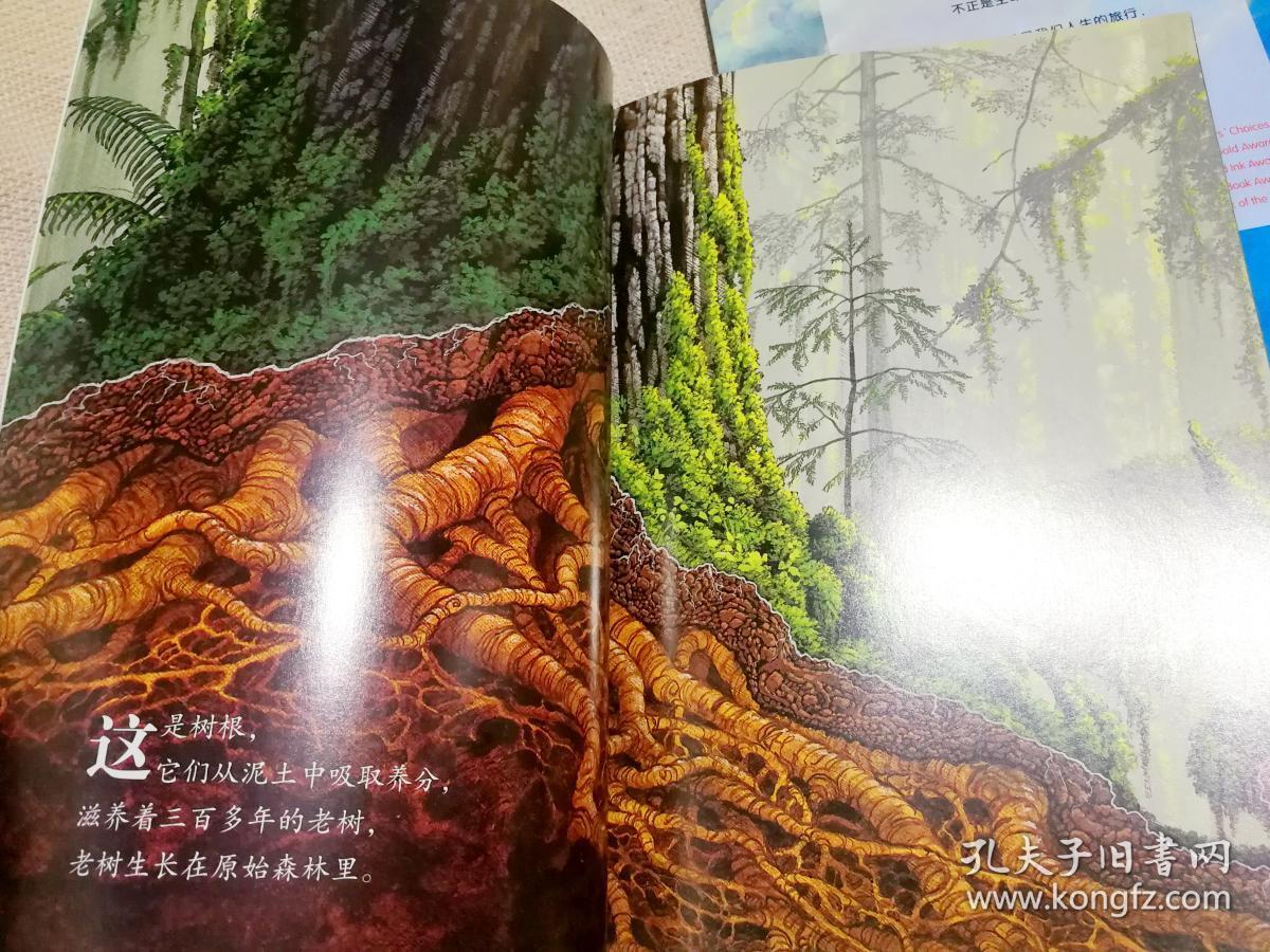 下雨的时候动物的表现_下雨前动物的表现_下雨动物表现前兆有哪些