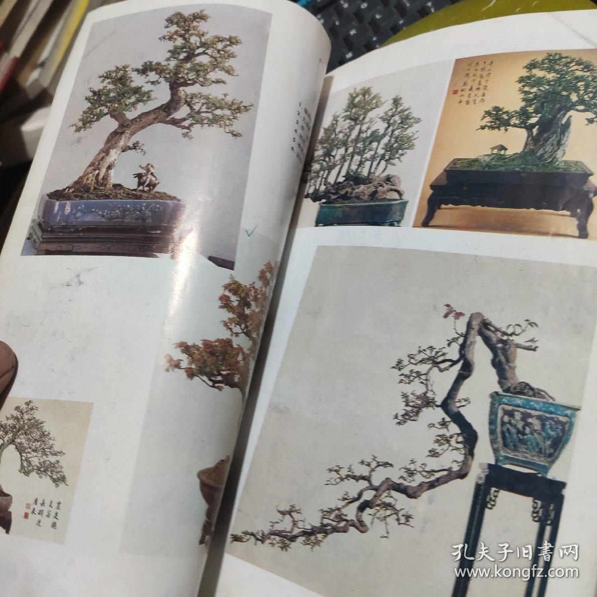 岭南盆景艺术与技法