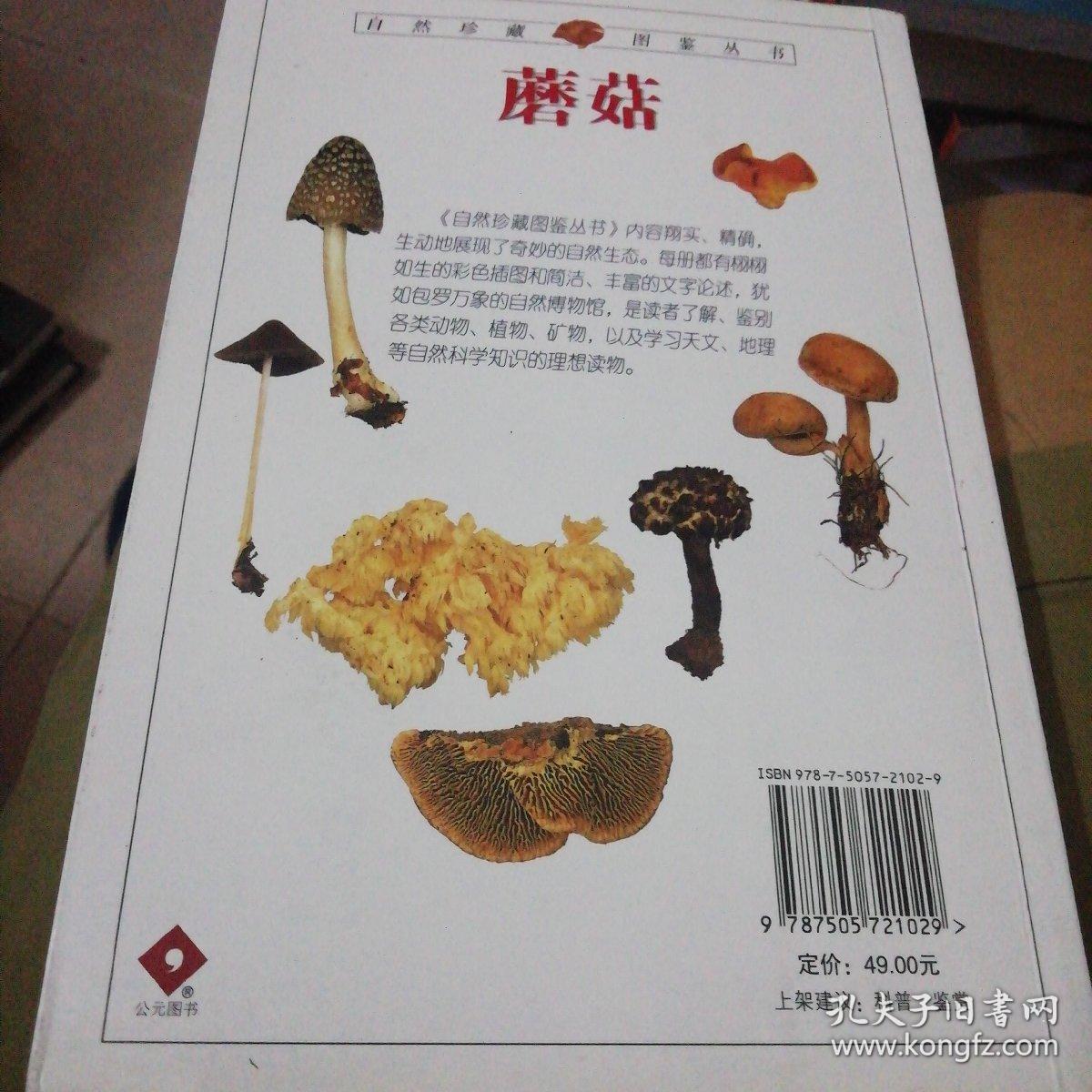 蘑菇:全世界500多种蘑菇的彩色图鉴