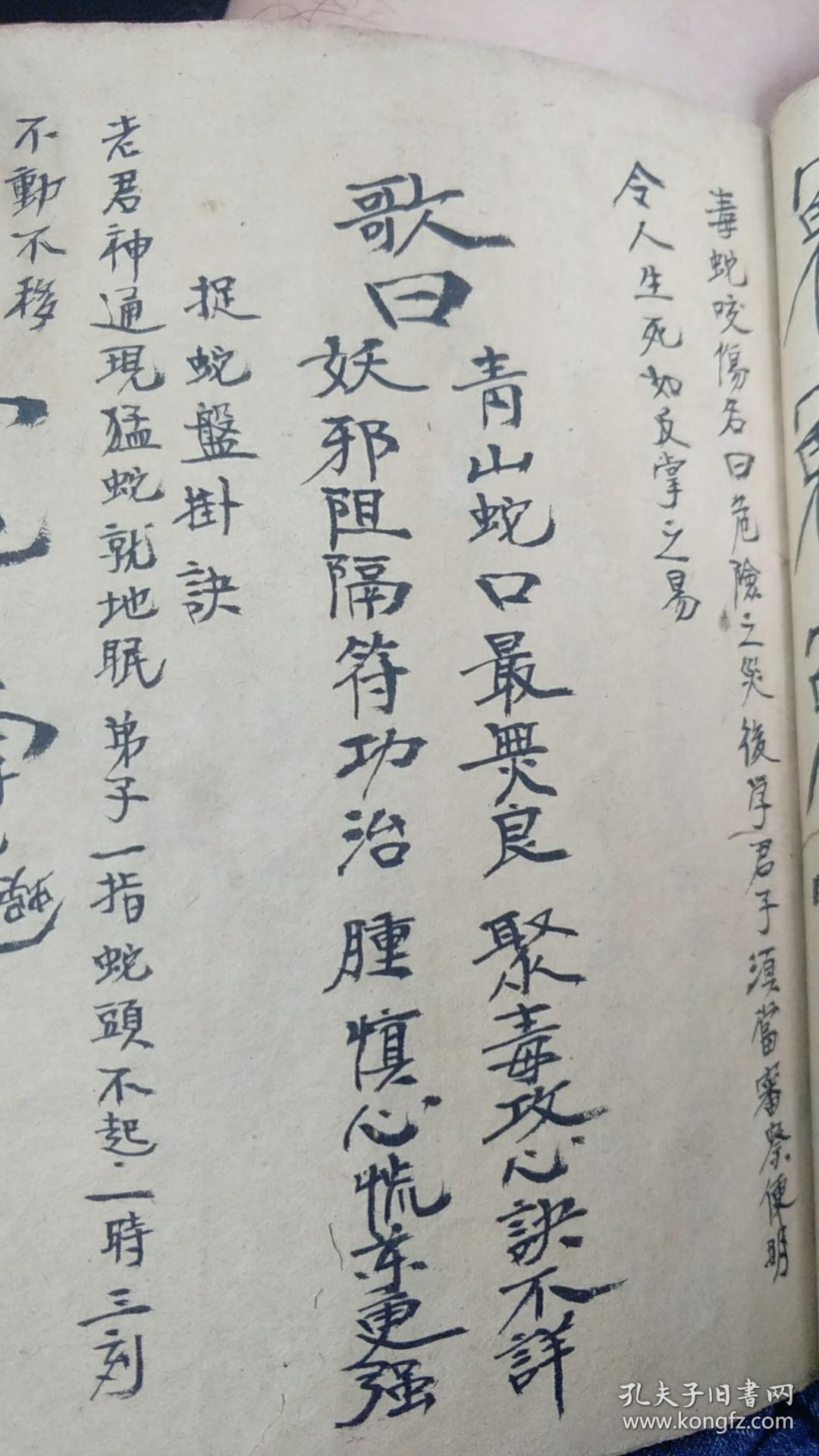 内容除了其它书常见的,铁牛法,蛇法,接骨止痛,治病,草药等等外,其中有