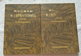 黑龙江省东部中、上侏罗统与下白垩统化石・上下两册