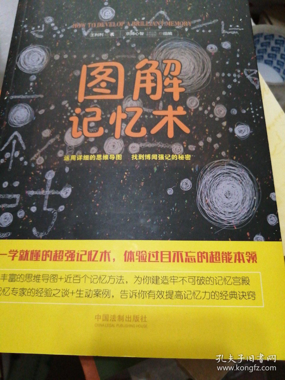 图解记忆术:运用详细的思维导图 找到博闻强记的秘密