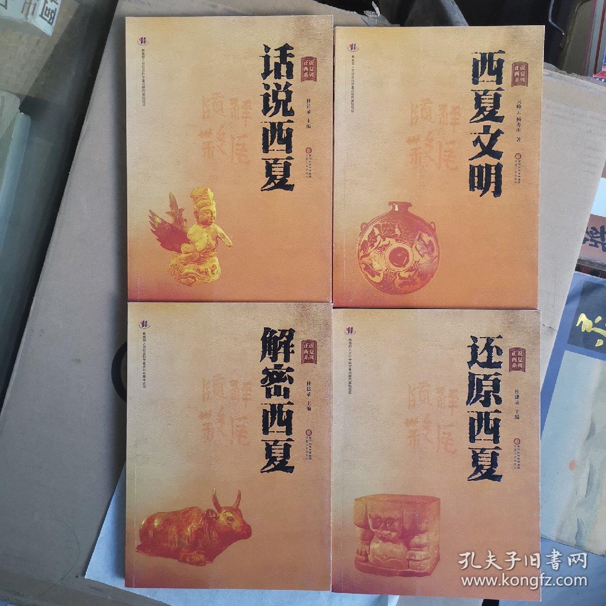 话说西夏 西夏文明 还原西夏 解密西夏