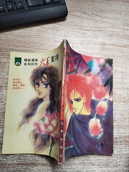 火王(3) 古镜奇谭之二