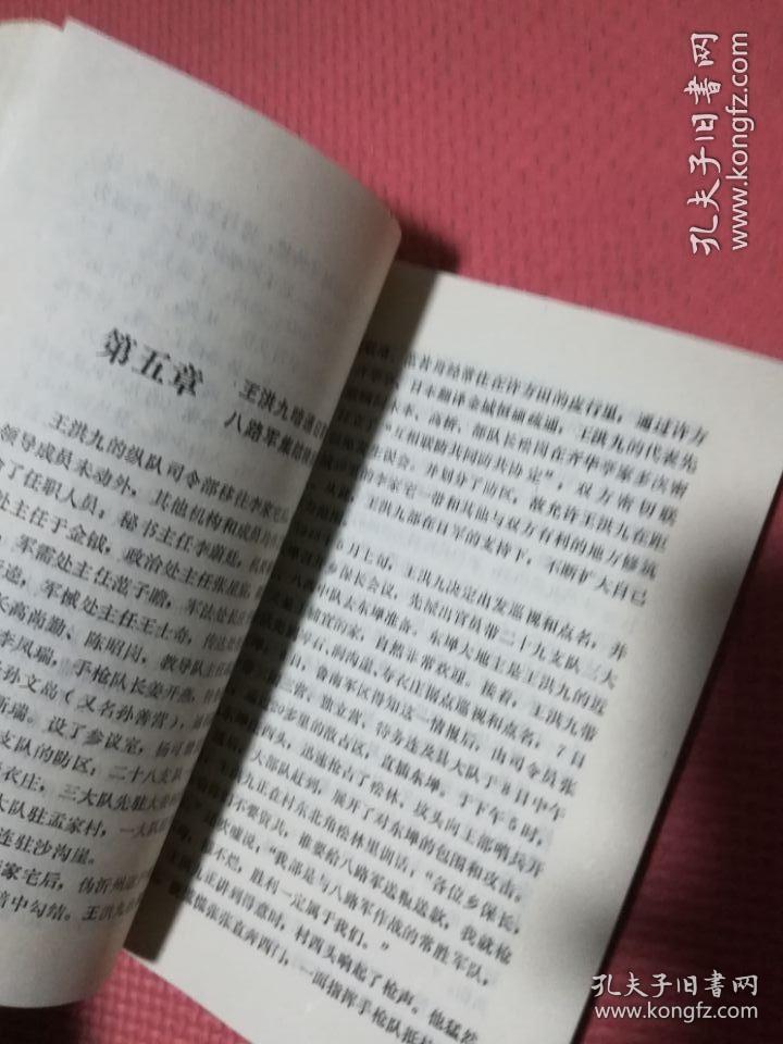 王洪九兴衰始末(93年1版1印)1