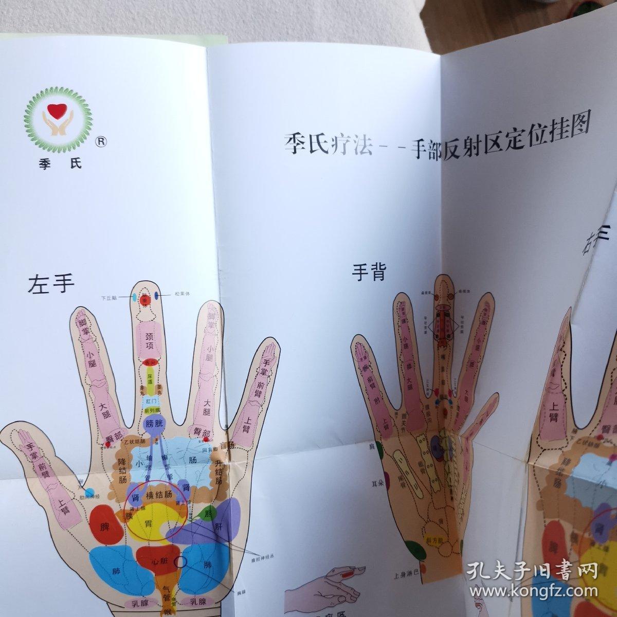 手中有福音2(一版一印) 书中附有:季氏疗法—手部反射区定位挂图