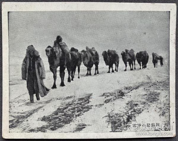 满洲国时期 "中国风情"系列 香烟画片 "雪中骆驼商队"一枚