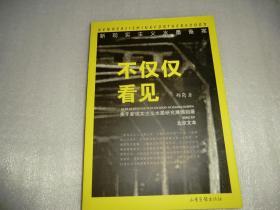 不仅仅看见 关于新现实主义水墨研究巡回展北京文本  AE806