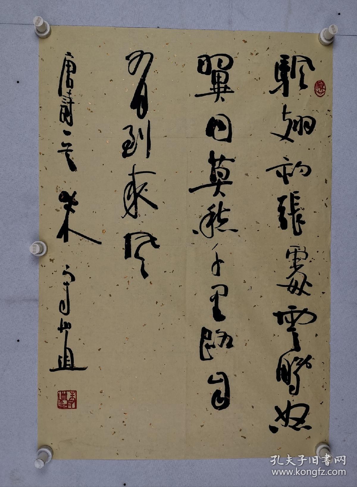 1982年春毕业于厦门大学中文系.