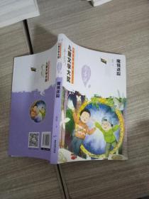 魔镜迷踪