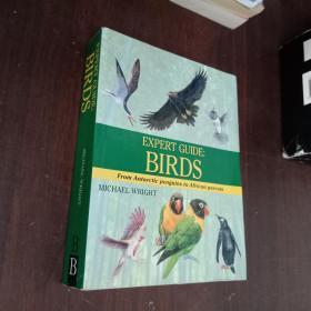 EXPERT  GUIDE:BIRDS专家指南: 鸟类