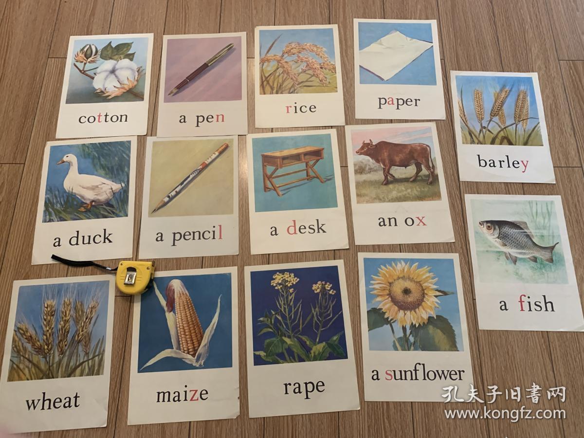 70年代彩色英文教学挂图含公交车小轿车自行车货车飞机军人司机农民