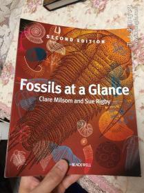 现货 Fossils at a Glance 英文原版 化石概览 化石概论 Clare Milsom