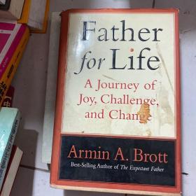 Father for Life: A Journey of Joy, Challenge, and Change