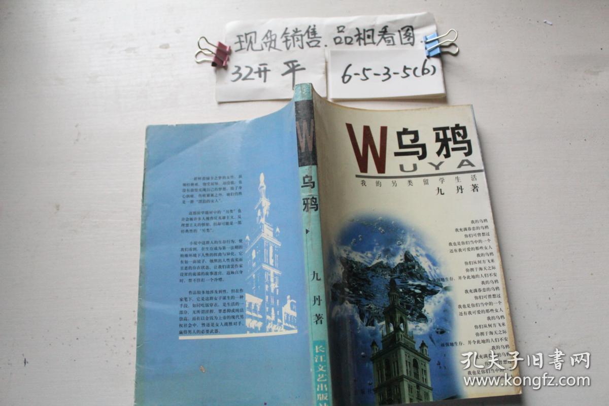 《乌鸦》九丹 著