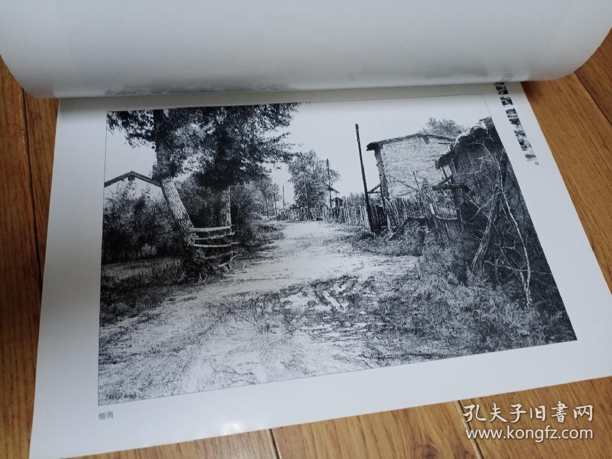 精细钢笔画作品选