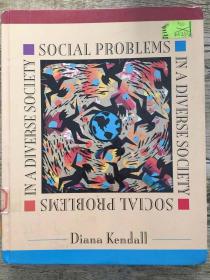 Social Problems In A Diverse Society （critical Perspectives On Asian Pacific）