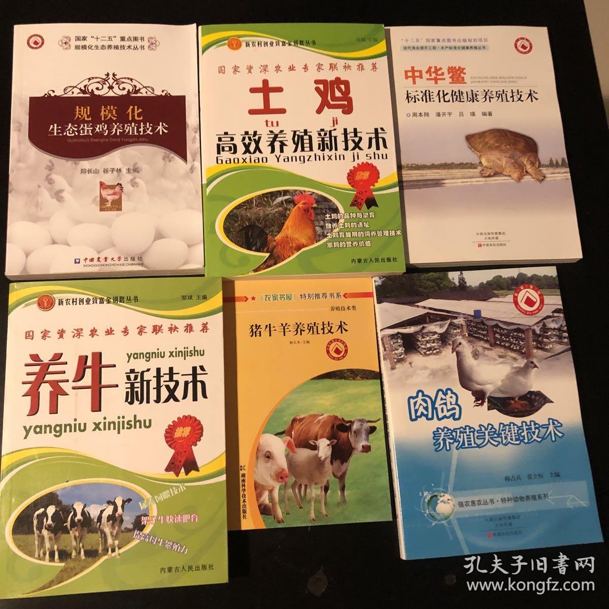 特种养殖技术