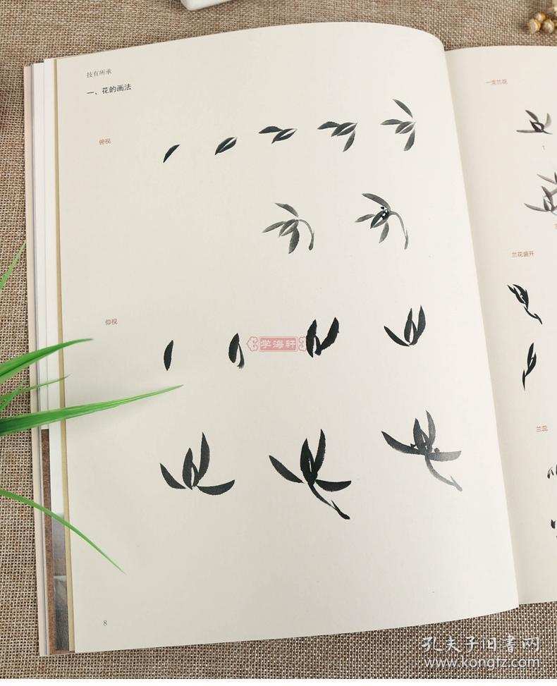 学海轩 技有所承 画兰 中国画技法教程 一本从入门到提高的国画教程