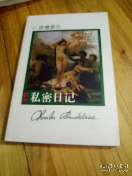 私密日记波德莱尔/ 湖南文艺出版社/ 2007-01/ 平装大梦生的书摊湖南省邵阳市