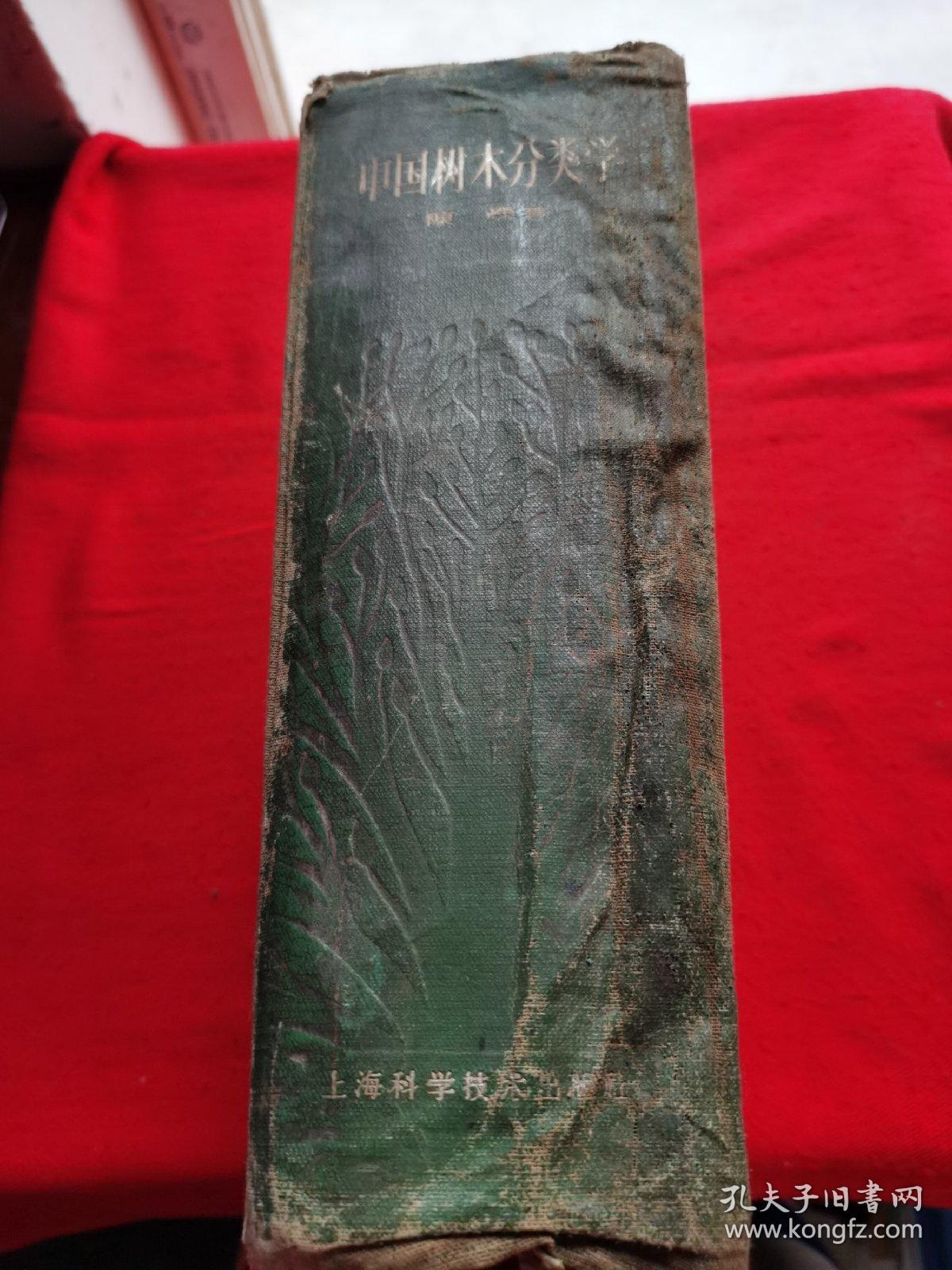 中国树木分类学 1957年一印,精装厚册