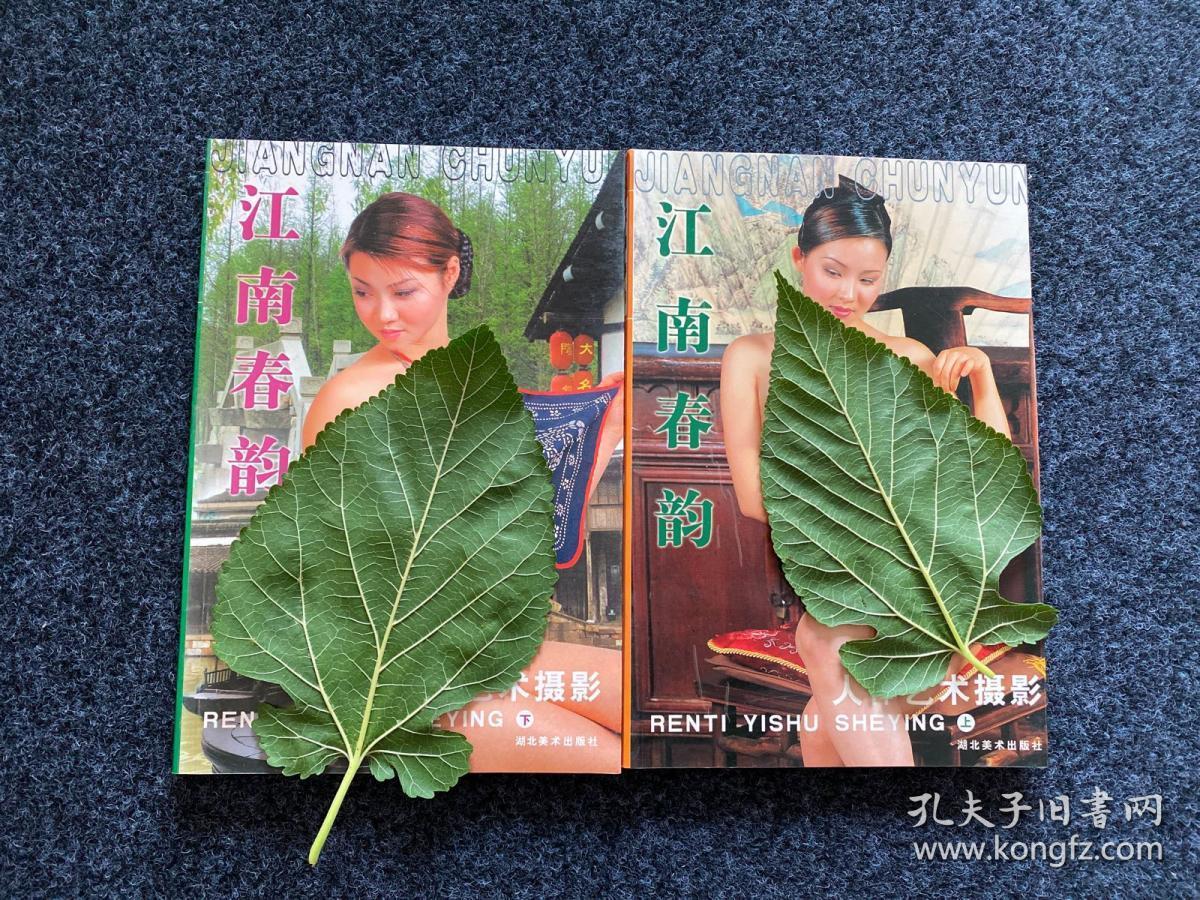 人体艺术摄影江南春韵上