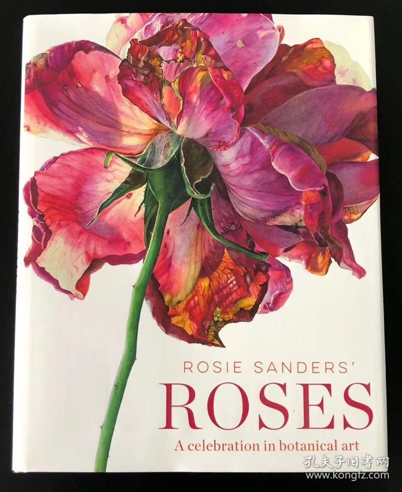 罗西·桑德斯的玫瑰 rosie sanders roses 植物学艺术 水彩花卉