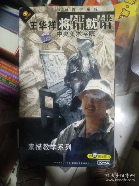 反向教学系统王华祥将错就错中央美术学院素描教学系列10片装Ⅴcd