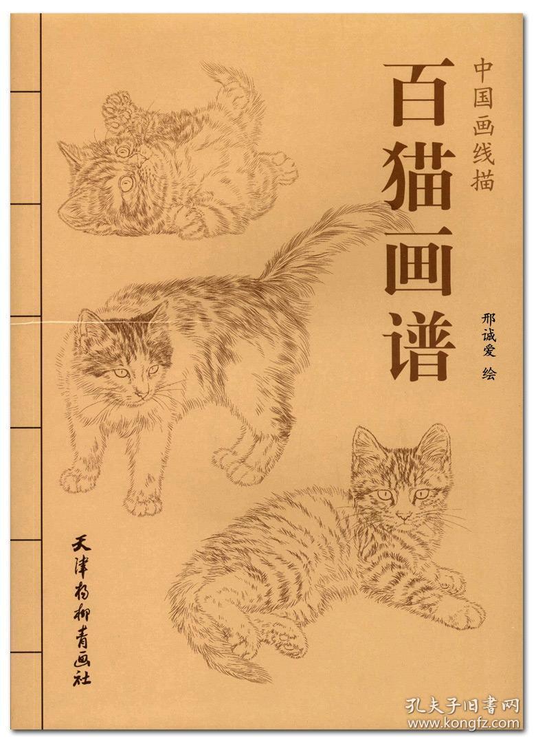 百猫画谱中国画线描邢诚爱绘天津杨柳青画社工笔猫作品集写意工笔画