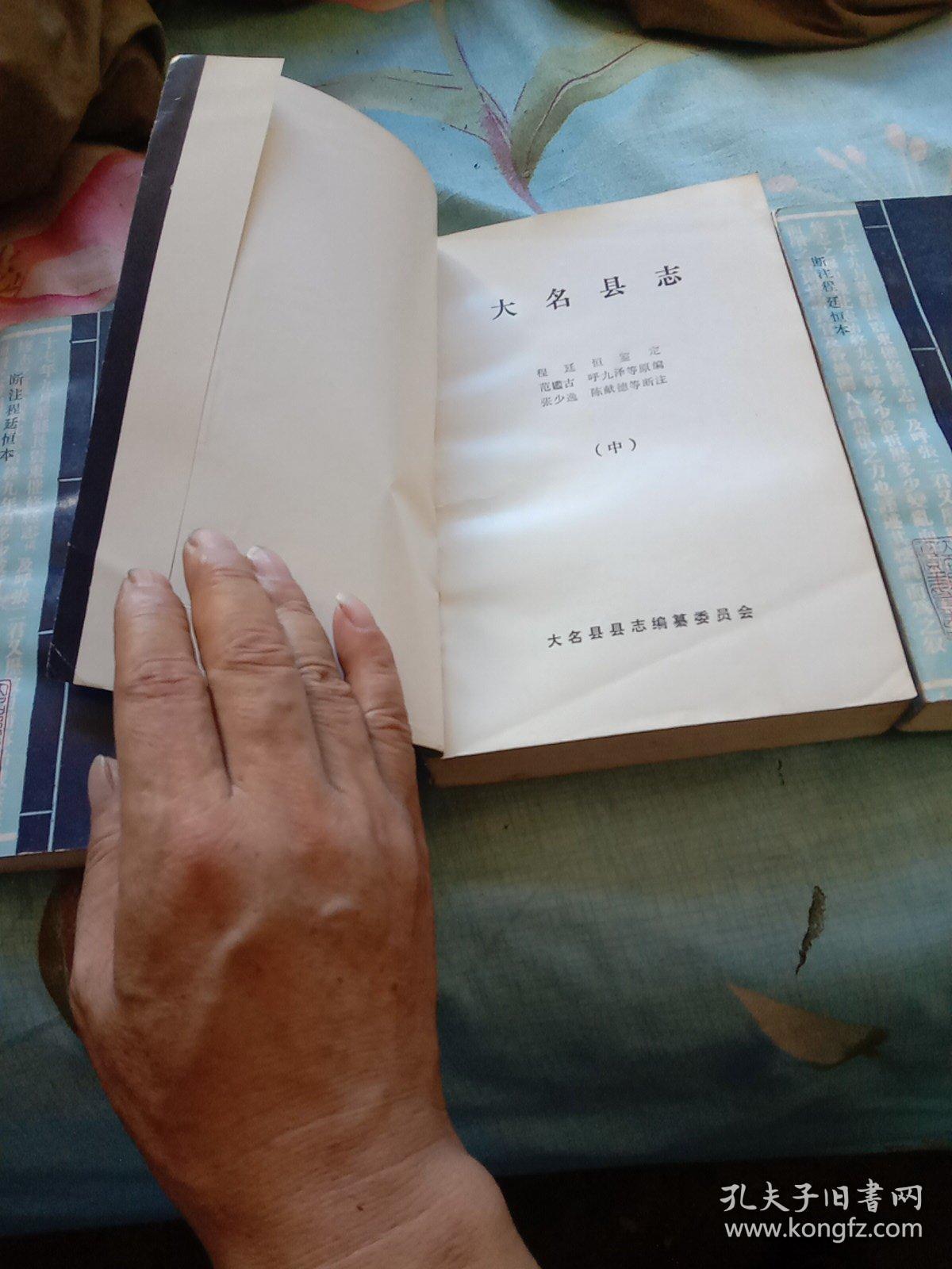 大名县志 断注程廷恒本 上中下