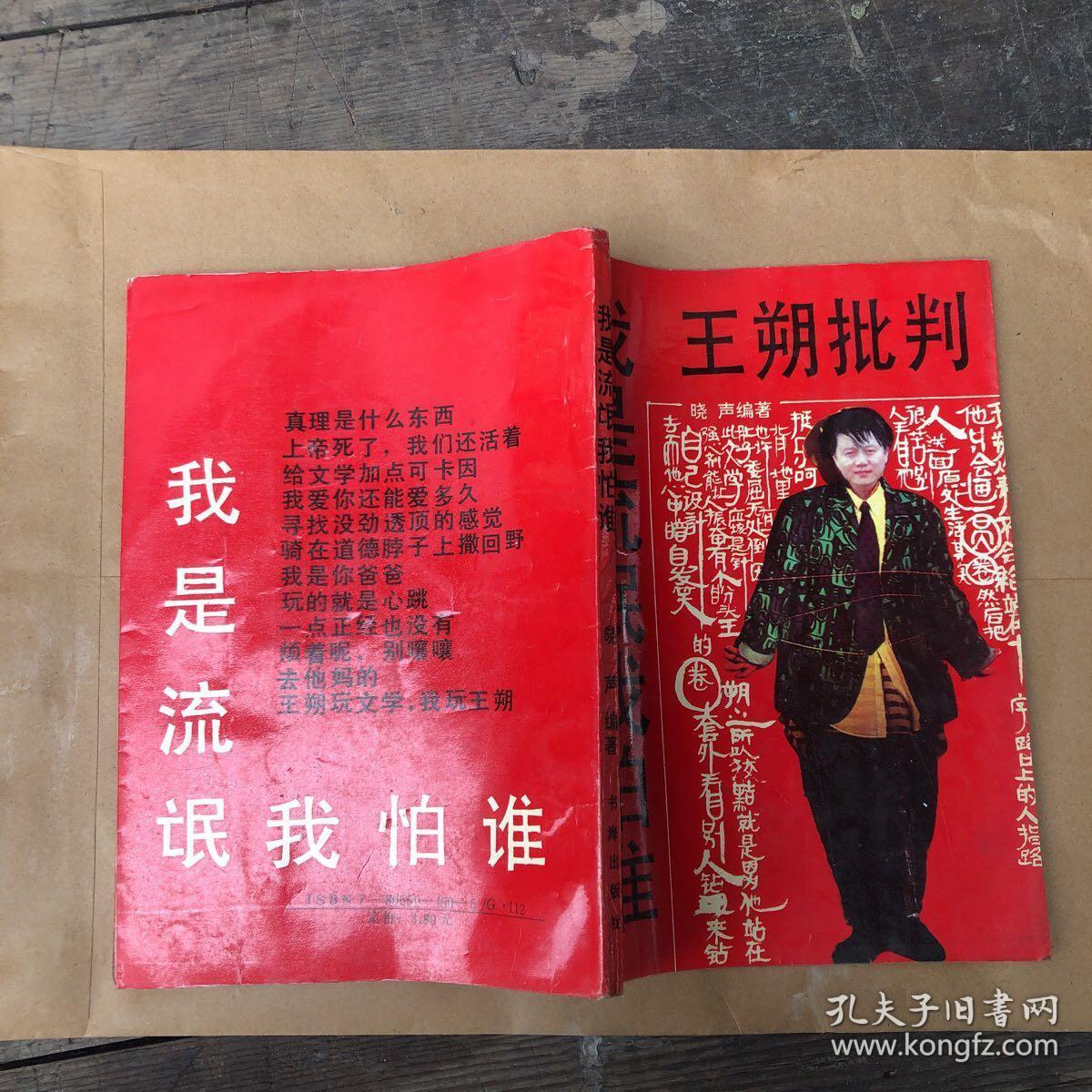 我是流氓我怕谁:王朔批判